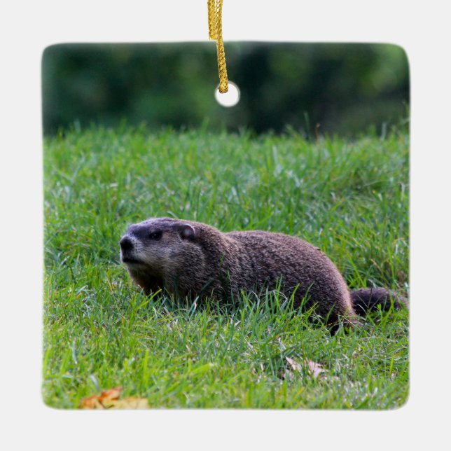 Teufelslochgräber Keramikornament (Vorderseite)