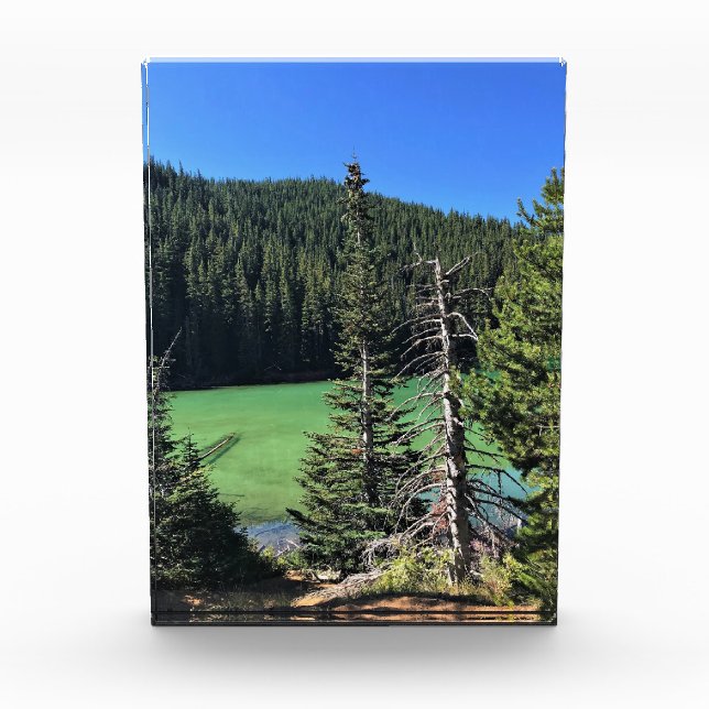 Teufelssee, OR Fotoblock (Vorderseite)