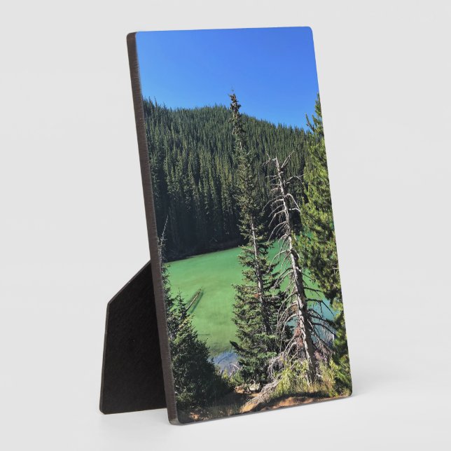 Teufelssee, OR Fotoplatte (Seite)