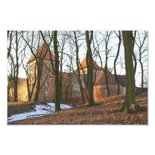 Teutonic Order castle Neidenburg - Foto