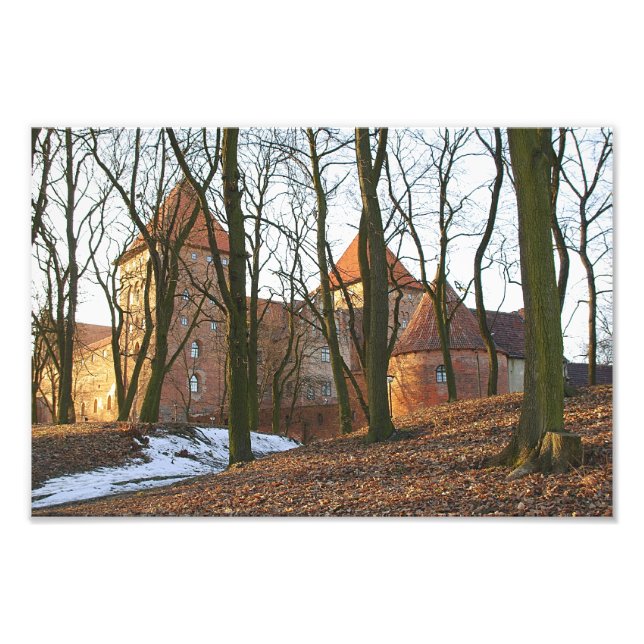 Teutonic Order castle Neidenburg - Foto (Vorne)