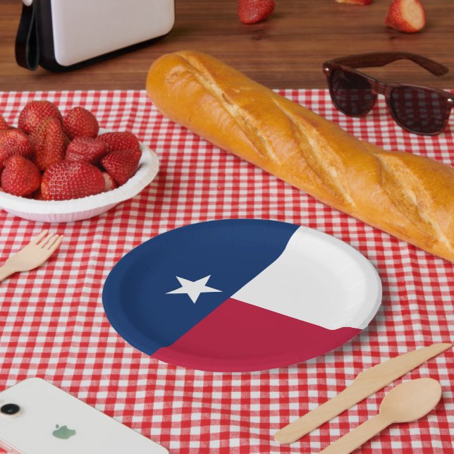 Texan Flag, Flag of Texas Pappteller (Picknick)