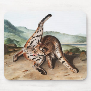 Texan Lynx (Lynx Rufus var maculatus) Illustration Mousepad