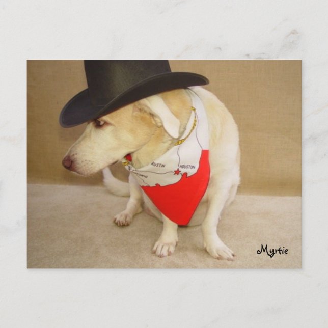Texan Myrtie Postcard Postkarte (Vorderseite)