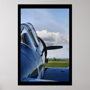 Texan T-6 Poster