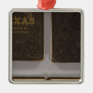 Texas 6 silbernes ornament