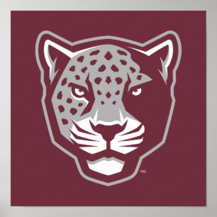 Texas A&M University - San Antonio   Jaguars Poster