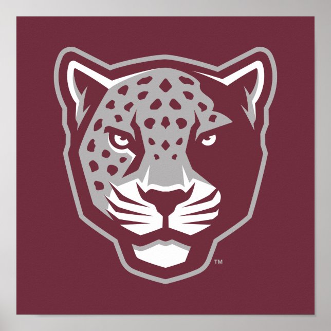 Texas A&M University - San Antonio | Jaguars Poster (Vorne)