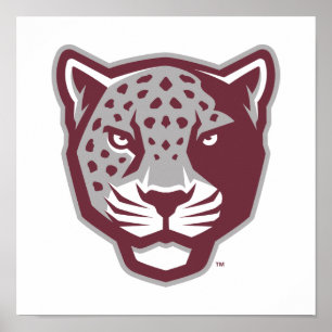 Texas A&M University - San Antonio   Jaguars Poster