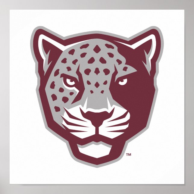 Texas A&M University - San Antonio | Jaguars Poster (Vorne)