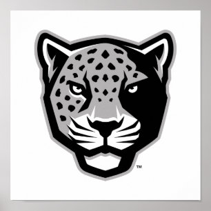 Texas A&M University - San Antonio   Jaguars Poster