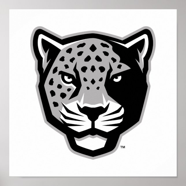 Texas A&M University - San Antonio | Jaguars Poster (Vorne)