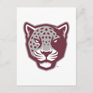 Texas A&M University - San Antonio   Jaguars Postkarte
