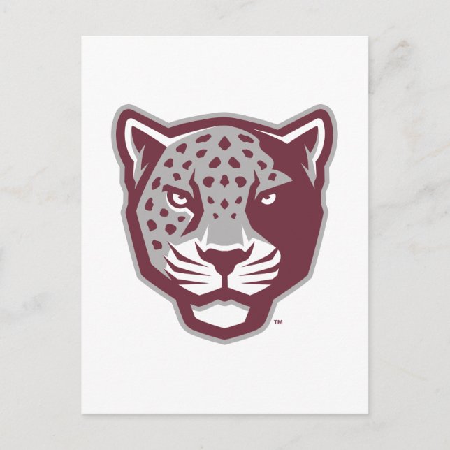 Texas A&M University - San Antonio | Jaguars Postkarte (Vorderseite)