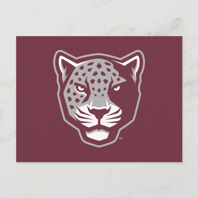 Texas A&M University - San Antonio | Jaguars Postkarte (Vorderseite)