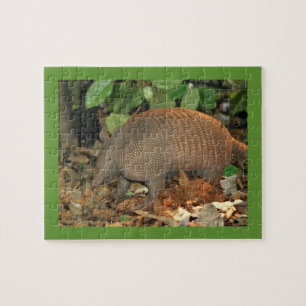Texas Armadillo Puzzle
