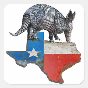 Texas Armadillo Quadratischer Aufkleber