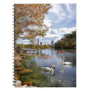 Texas Barton Creek / Ladybird Lake Swans Notizblock
