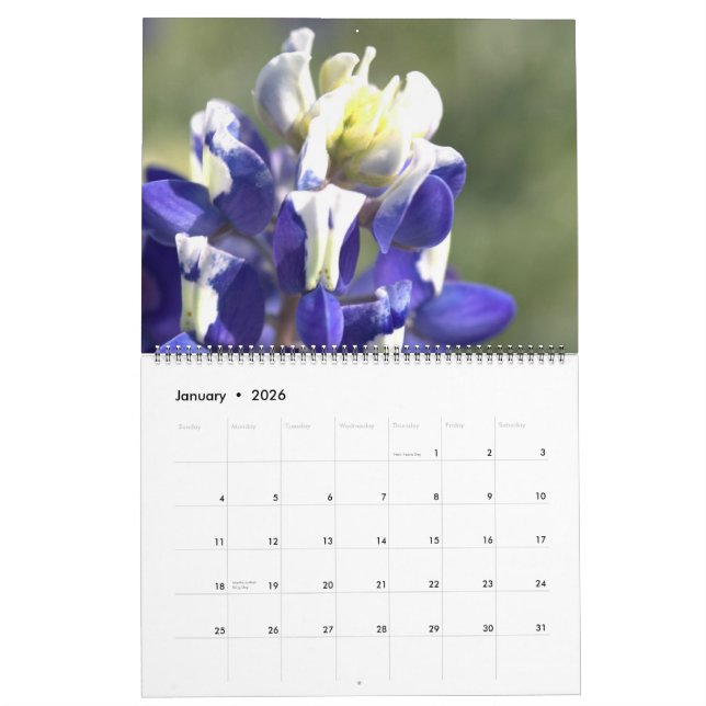 Texas Beauties: Erstellen Sie Ihr eigenes Bluebonn Kalender (Jan 2026)