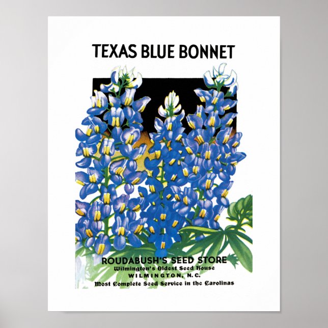 Texas Blue Bonnet Saatpacketikett Poster (Vorne)