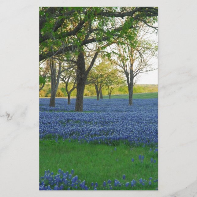 Texas Blue Bonnets (Vorderseite)