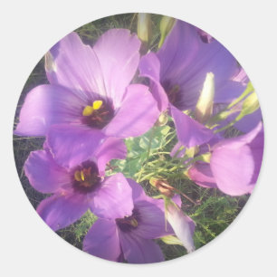 Texas Bluebells Runder Aufkleber
