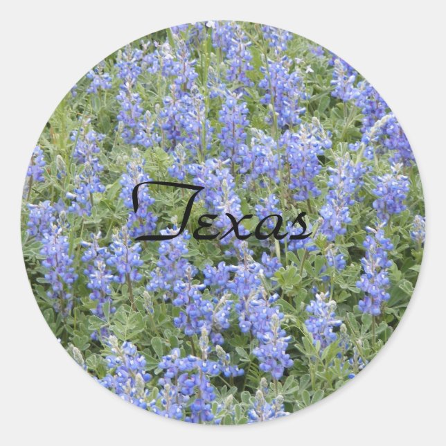 Texas Bluebonnet Aufkleber (Vorderseite)