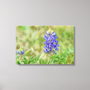 Texas Bluebonnet Blume Art Nah Up Leinwanddruck