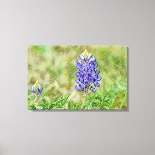 Texas Bluebonnet Blume Art Nah Up Leinwanddruck (Vorderseite)