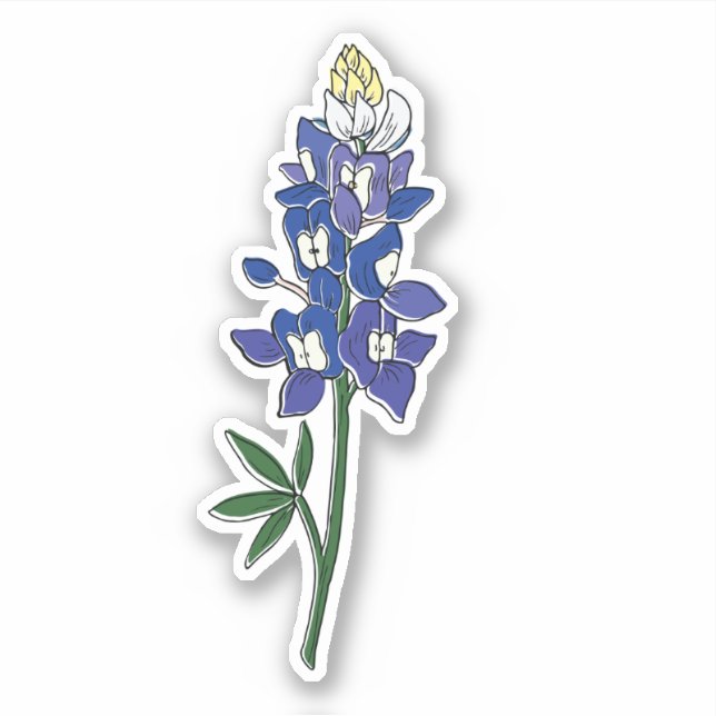 Texas Bluebonnet Blume Aufkleber (Vorderseite)