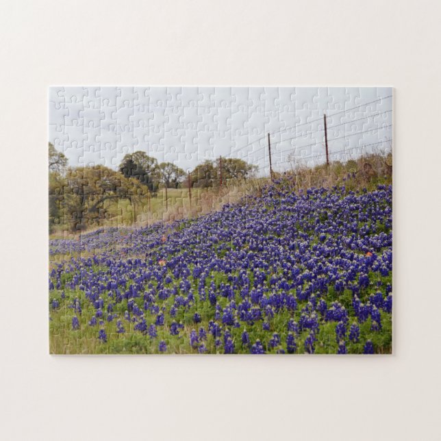 Texas Bluebonnet Blume Blue Blume Farm Puzzle (Horizontal)