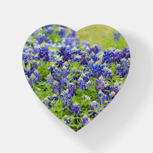 Texas Bluebonnet Blume Glass Heart Paperweight Briefbeschwerer