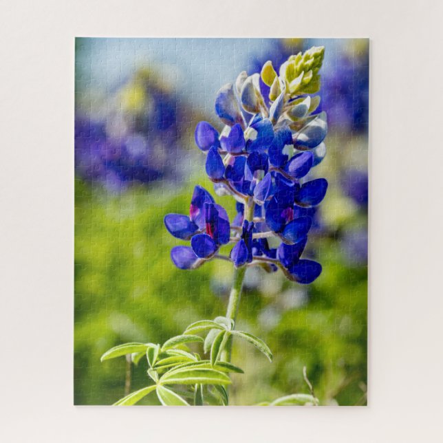 Texas Bluebonnet Blume Puzzle (Vertikal)