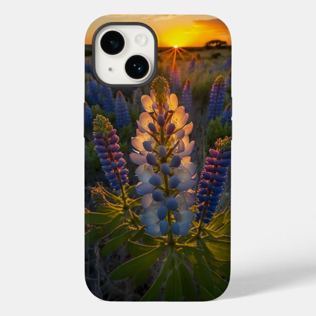 Texas Bluebonnet Case-Mate iPhone Hülle (Rückseite)