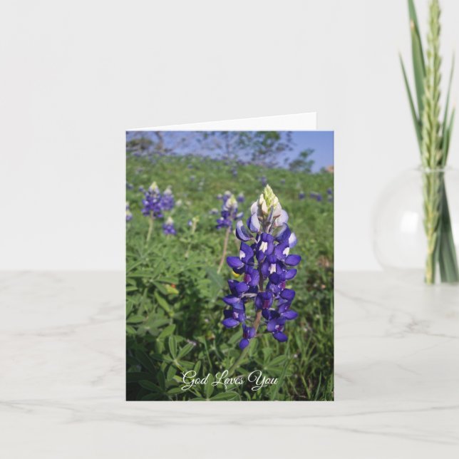 Texas Bluebonnet Christlich John 3:16 Blank Inside Karte (Vorderseite)