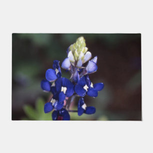 Texas Bluebonnet Door Mat Fußmatte