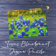 Texas Bluebonnet Field Rustic Elegant