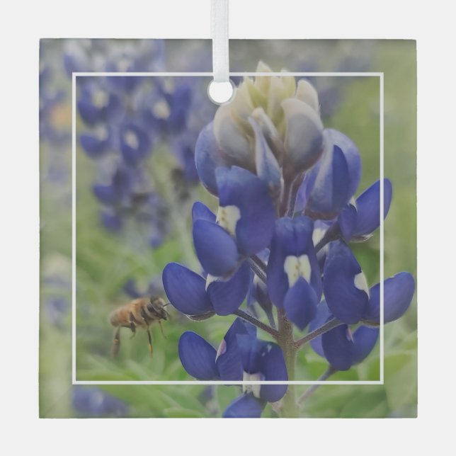 Texas Bluebonnet Glasdekoration Ornament Aus Glas (Vorderseite)