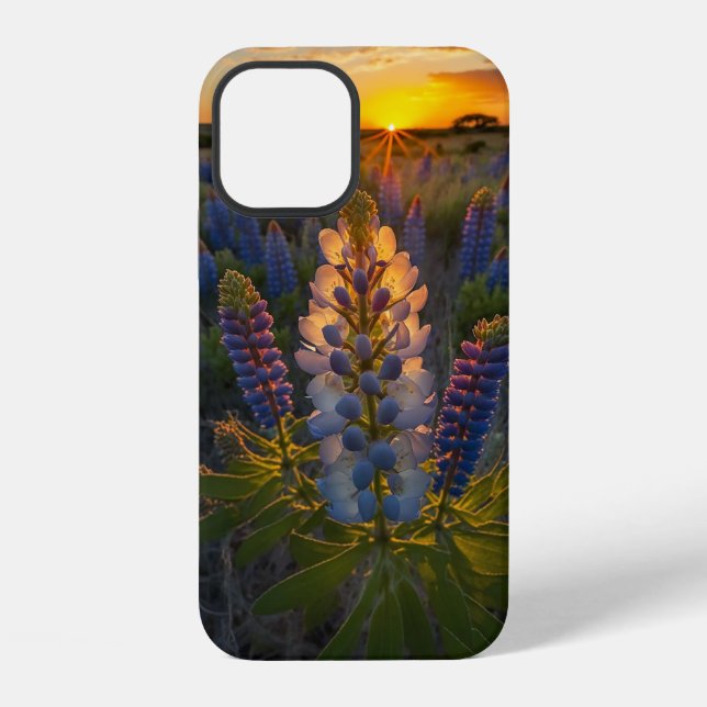 Texas Bluebonnet  iPhone Hülle (Rückseite)