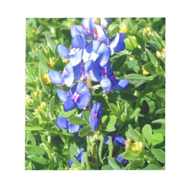 TEXAS BlueBonnet Notizblock (Vorderseite)
