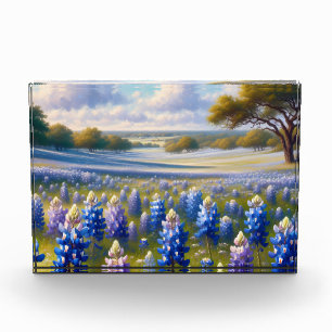 Texas Bluebonnet-Wiesenlandschaft Fotoblock