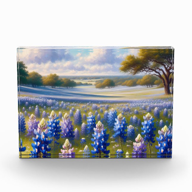 Texas Bluebonnet-Wiesenlandschaft Fotoblock (Vorderseite)