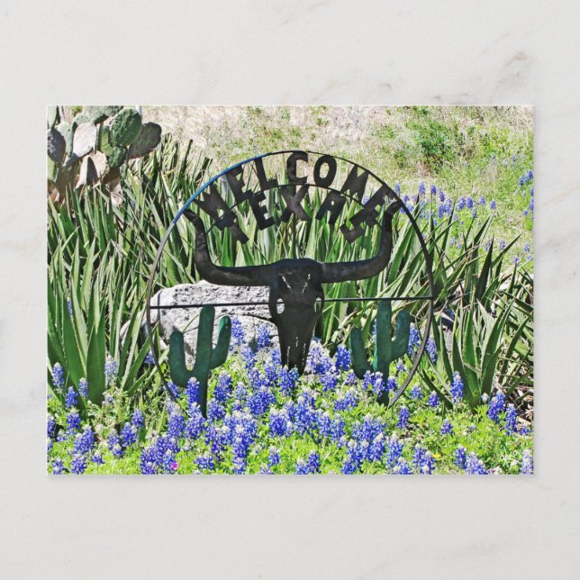 Texas Bluebonnet Willkommen Postkarte (Vorderseite)
