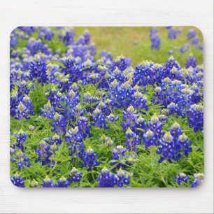Texas Bluebonnets Art Mouse Pad Mousepad