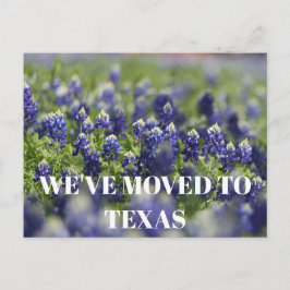 Texas Bluebonnets Blume Wildblume Blue Floral Postkarte