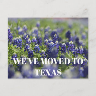 Texas Bluebonnets Blume Wildblume Blue Floral Postkarte