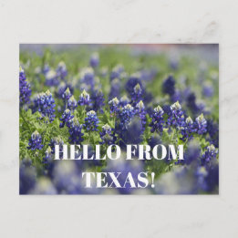 Texas Bluebonnets Blume Wildblume Blue Floral Postkarte