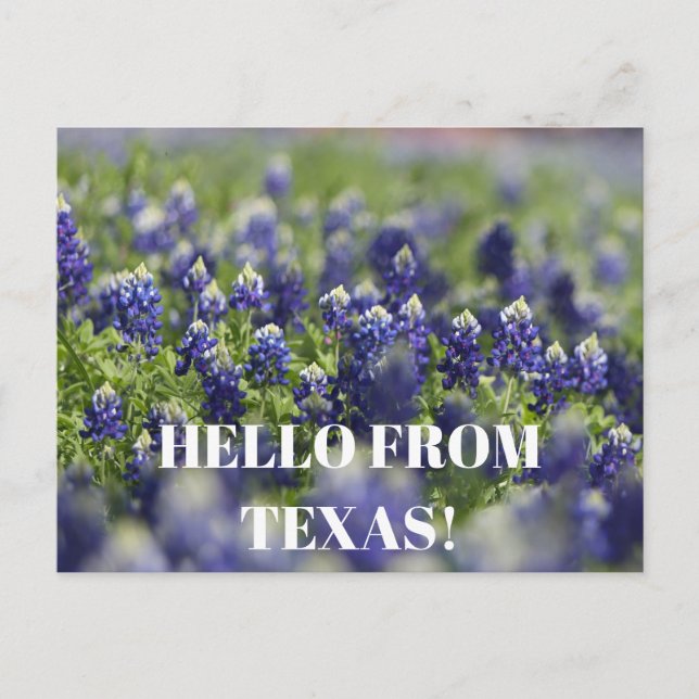 Texas Bluebonnets Blume Wildblume Blue Floral Postkarte (Vorderseite)