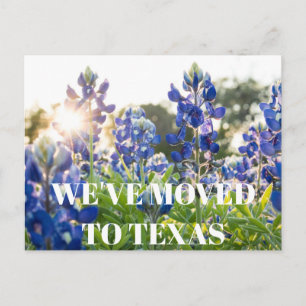 Texas Bluebonnets Blume Wildblume Blue Floral Postkarte