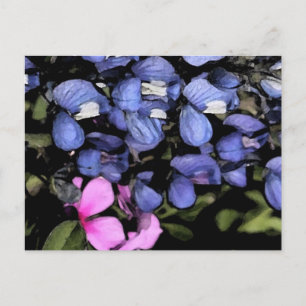 Texas Bluebonnets Closeup Postkarte